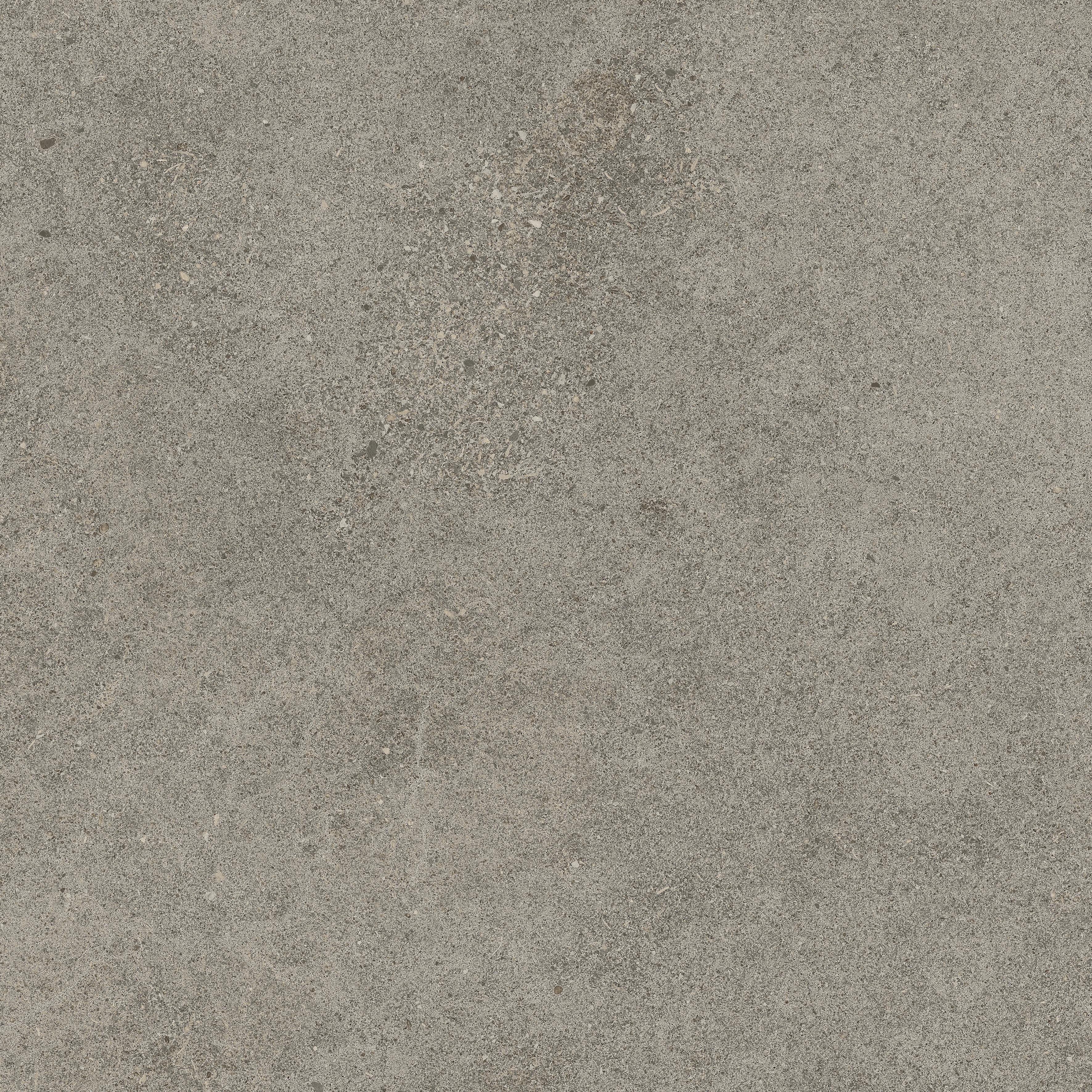 Forte dei Marmi Rock Lunar Grey 60x60 Структурированный, Серый, 60x60