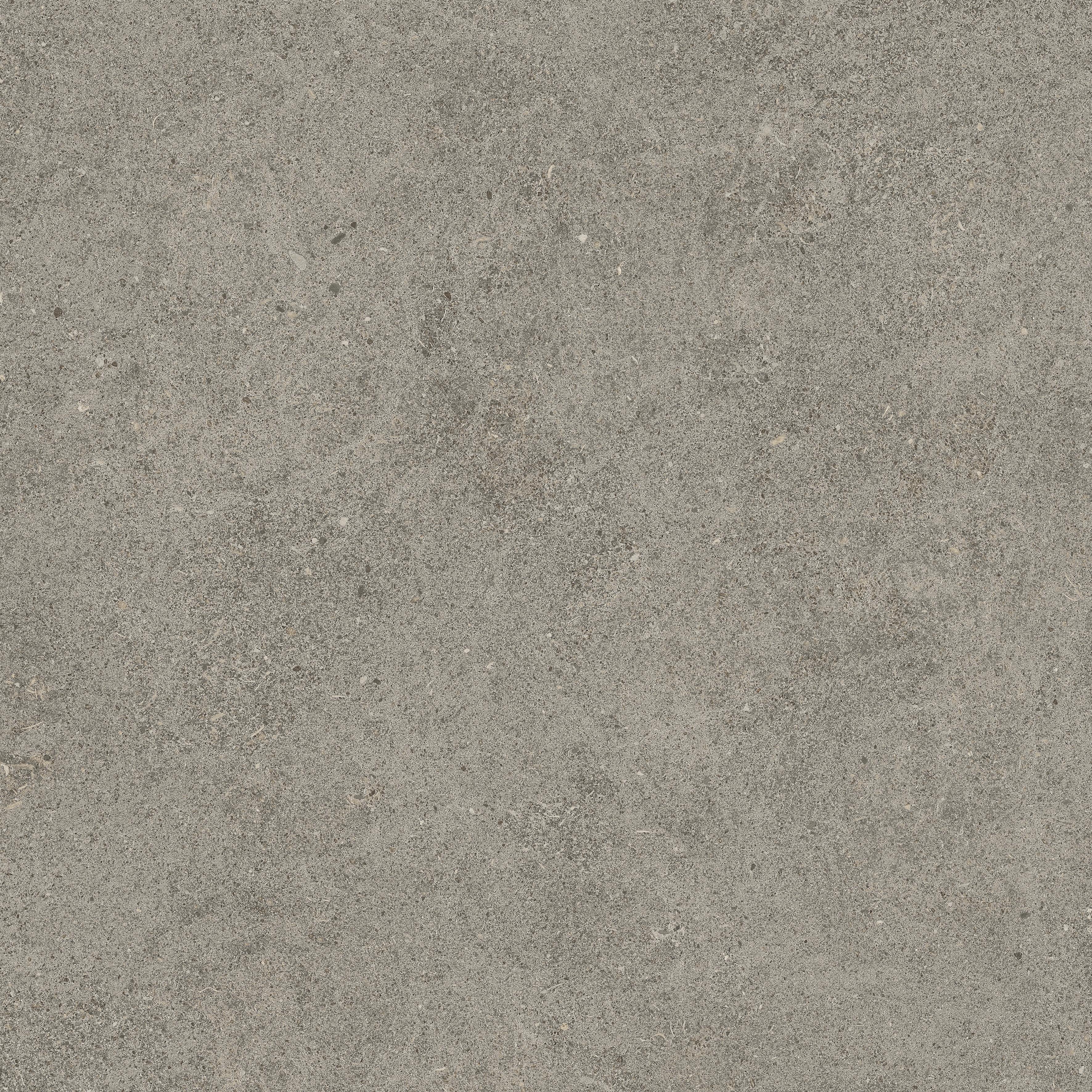 Forte dei Marmi Rock Lunar Grey 60x60 Структурированный, Серый, 60x60