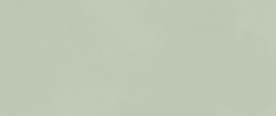 Boost Color Mint 50×120