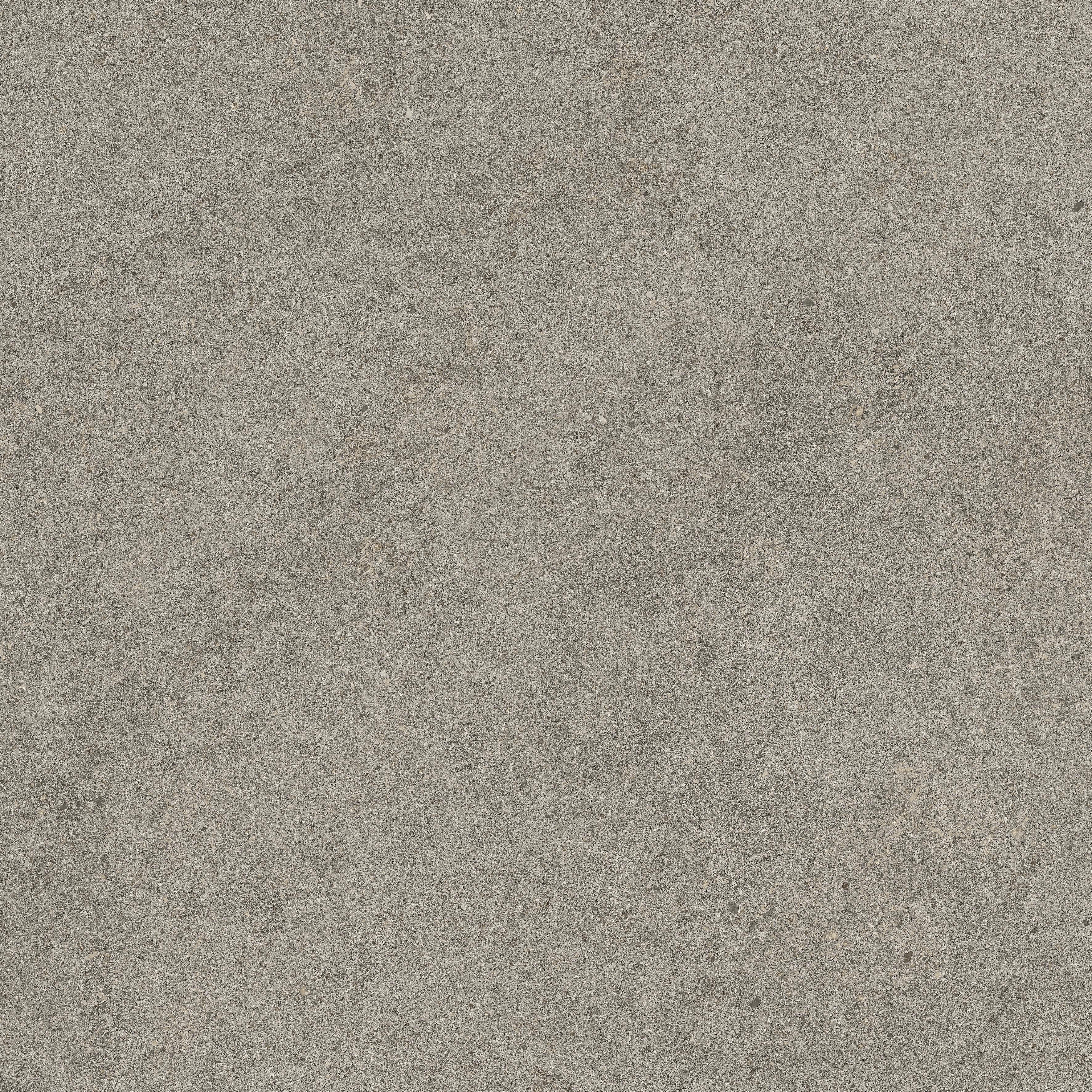 Forte dei Marmi Rock Lunar Grey 60x60 Структурированный, Серый, 60x60