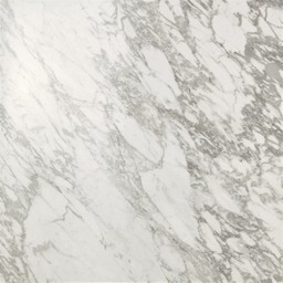 Marvel Statuario Select 60x60 Lappato