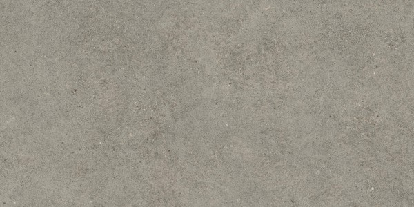 Forte dei Marmi Rock Lunar Grey 60x120 Grip