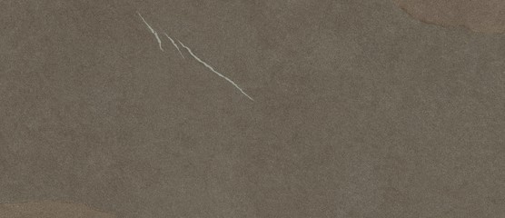 Forte dei Marmi Rock Alpine Brown 120x278