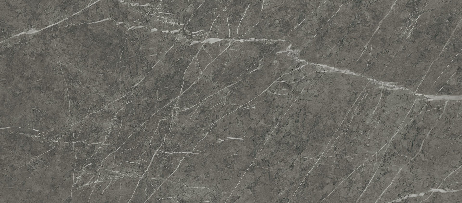 AtlasConcorde Marvel Grey-Stone 60x120 Matte A209 1