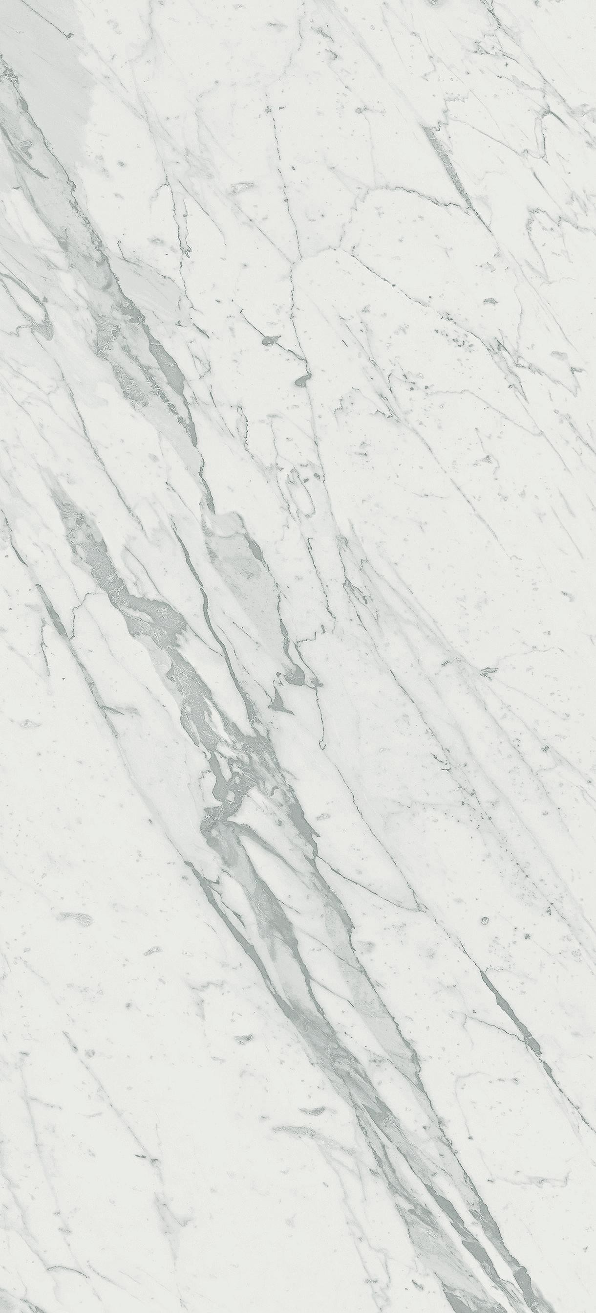 AtlasConcorde MarvelPro StatuarioSelect 50x110 Shiny 4MPT