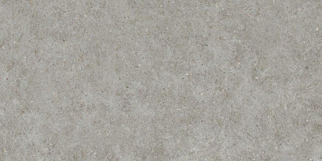 BOOST STONE Grey 60X120 20mm  