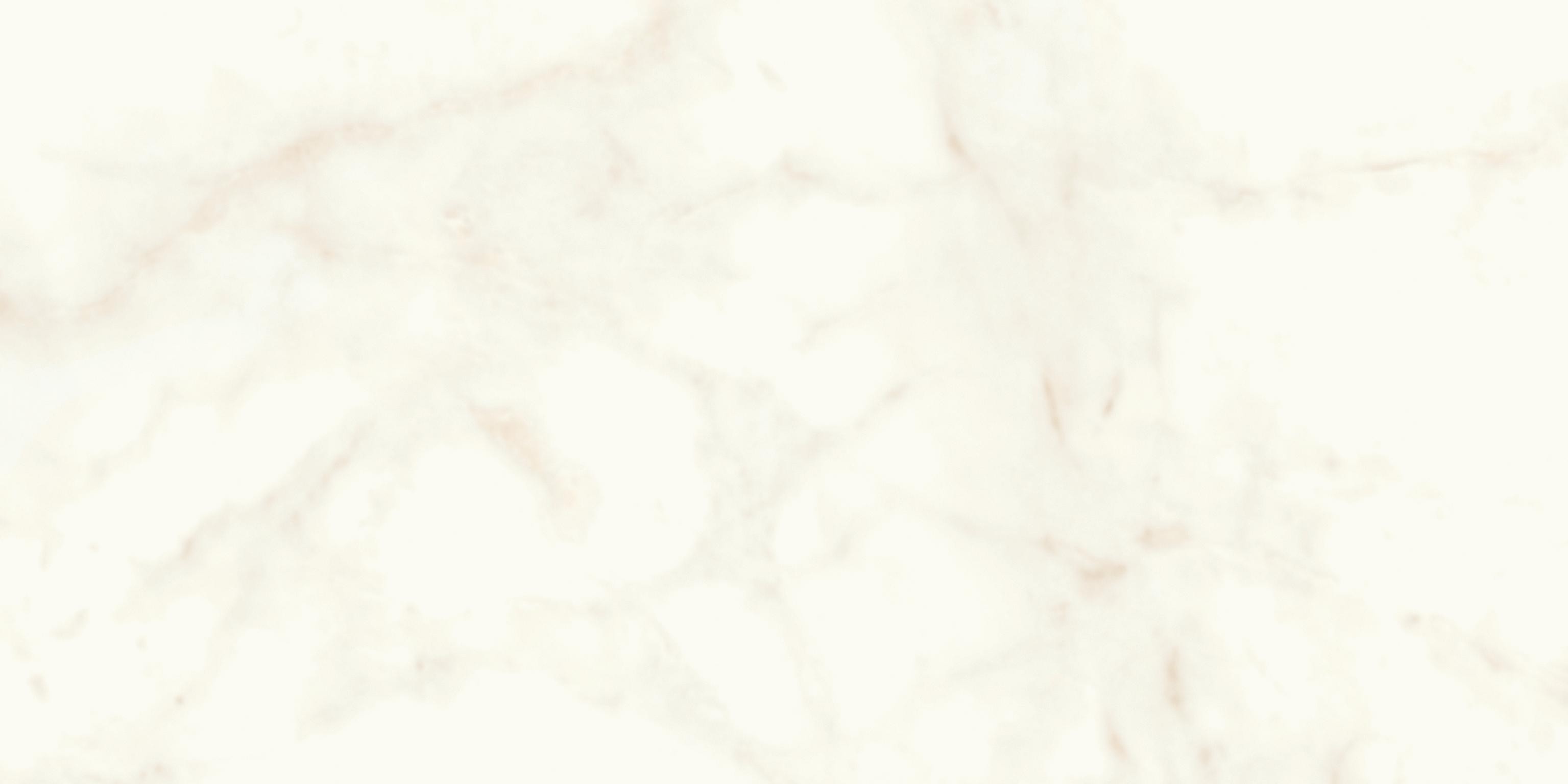 AtlasConcorde MarvelShine CalacattaDelicato 60x120 Matte A4QW 1