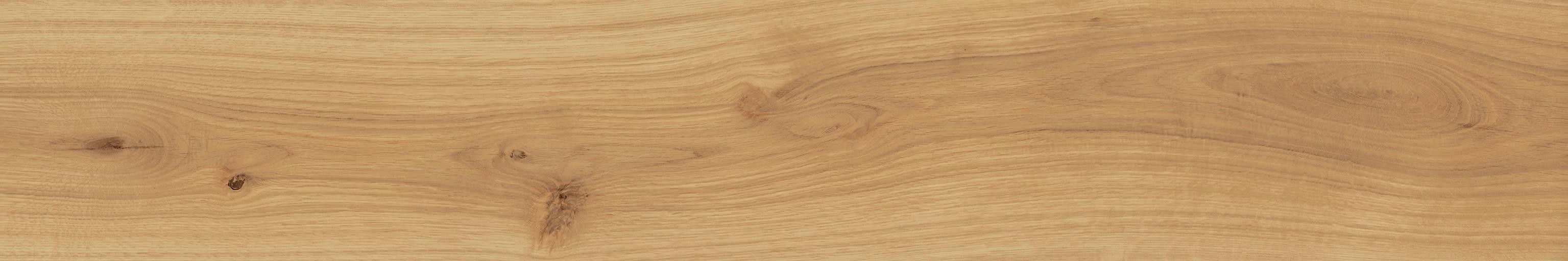 Exence Almond 20×120