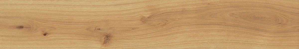 EXENCE Almond 20X120