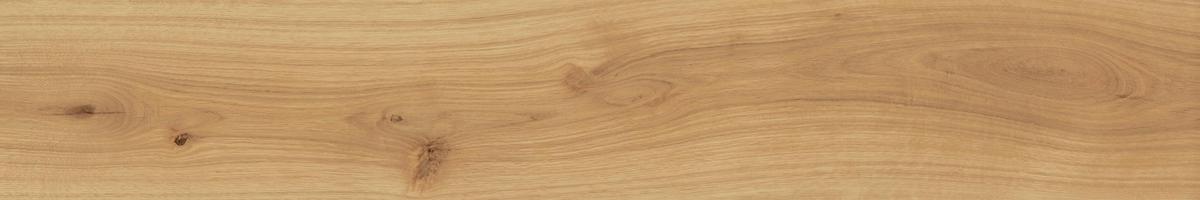 EXENCE Almond 20X120