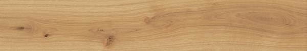 EXENCE Almond 20X120