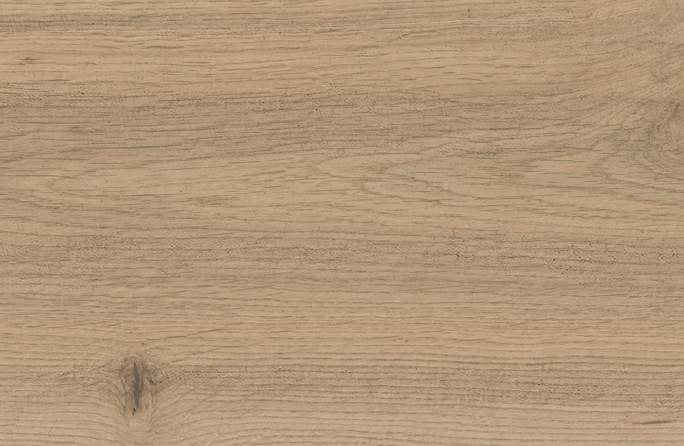 AtlasConcorde_LOG_MoonOak_Macro