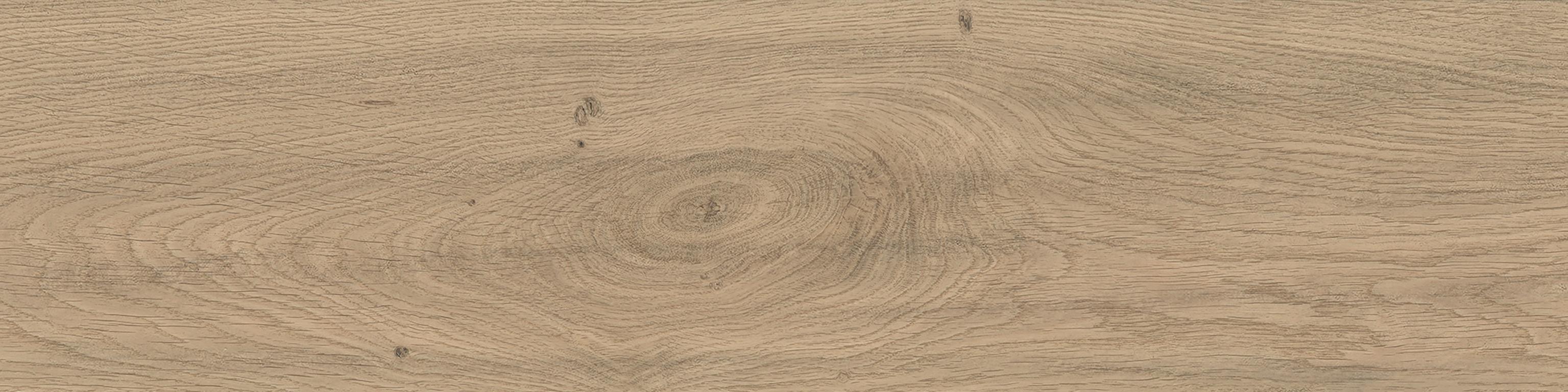 Log Moon Oak 30x120 Matt Sensitech, Hellbraun, 30x120