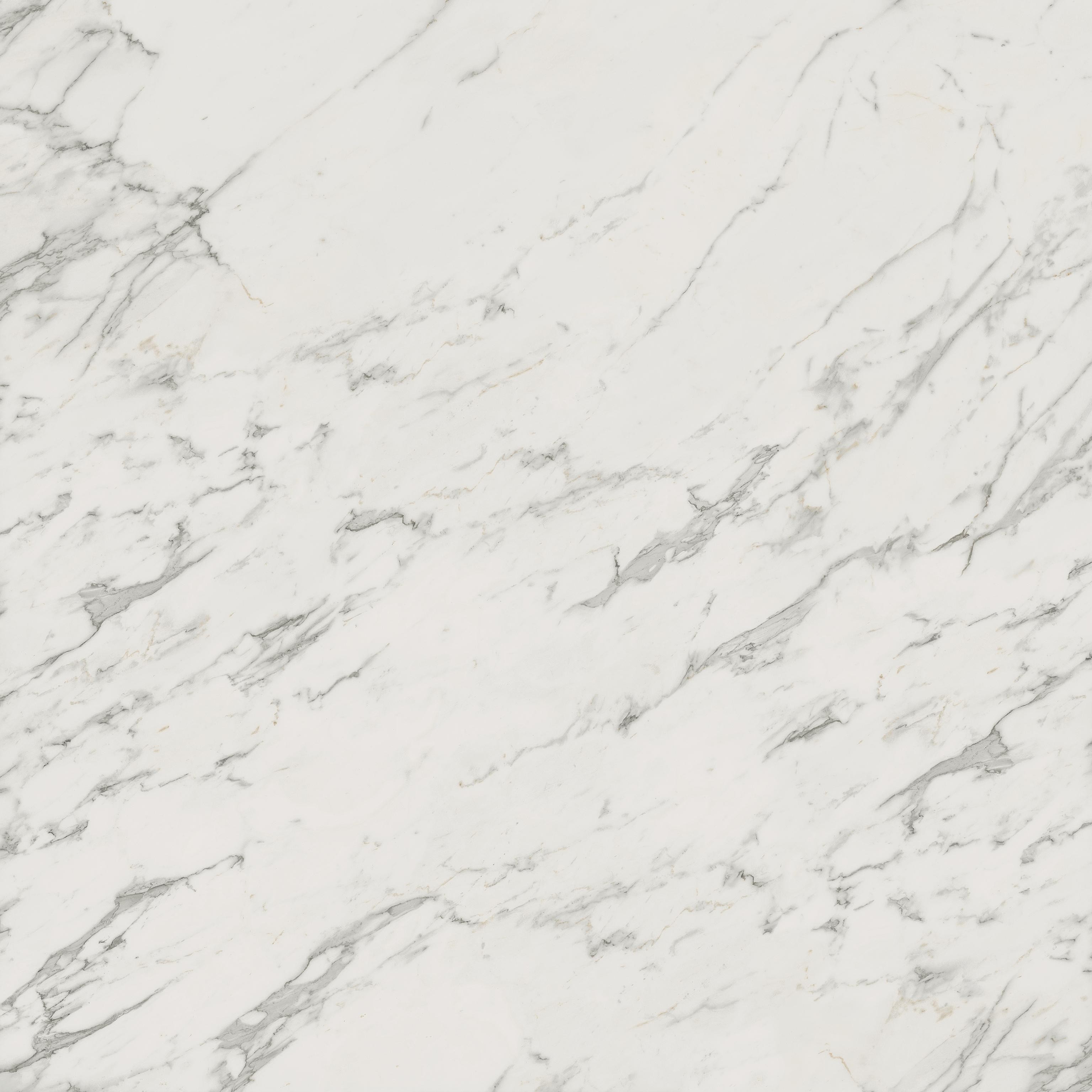 Marvel Calacatta Extra 120×120 Lapp.