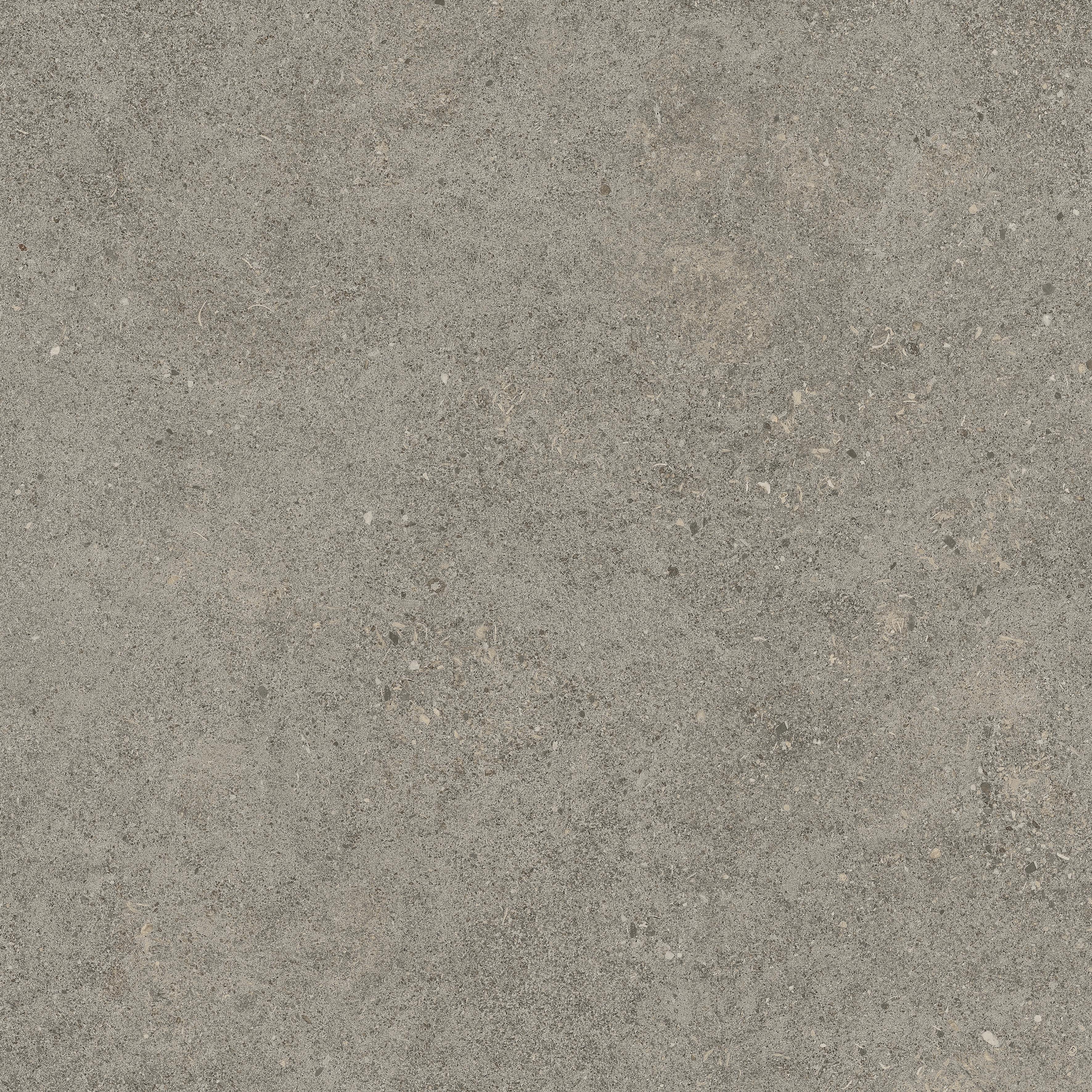 Forte dei Marmi Rock Lunar Grey 60x60 Структурированный, Серый, 60x60